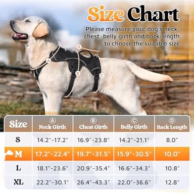 rabbitgoo Escape Proof Dog Harness, Soft Padded Full Body Pet Harness, Reflective Adjustable No Pull Vest with Lift Handle and Leash Clip for Large Dogs Walking Hiking Training, M, Black - Image 2