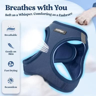 rabbitgoo Dog Harness Small Sized and Leash Set, Step in Soft Light Puppy Vest, Breathable Mesh Pet Harness, Reflective for Safe Outdoor Walking, Navy Blue S - Image 4