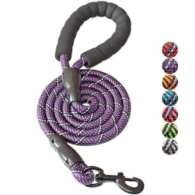 BAAPET 2/4/5/6 FT Dog Leash with Comfortable Padded Handle and Highly Reflective Threads for Small Medium and Large Dogs (5FT-1/2'', Black Purple) - Image 1