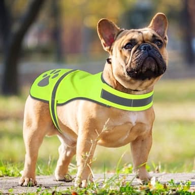 Candofly Reflective Dog Vest, High Visibility Safety Pet Hunting Vest Lightweight Dog Jacket for Night Walking Camping (Neon Green, Small) - Image 6