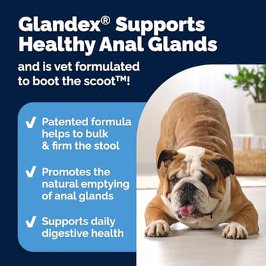 Vetnique Glandex Anal Gland Soft Chew Treats with Pumpkin for Dogs Digestive Enzymes, Probiotics Fiber Supplement for Dogs Boot The Scoot (Peanut Butter Chews, 60 Count) - Image 4