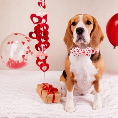 Bobo Rainbow Dog Collar - Valentine's Dog Collar Bows for Dogs Bow Pink Adjustable Dog Collar Girl Pet Gift Spring Dog Collar for Medium Small Large Dogs - Image 6