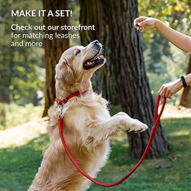 CollarDirect Rolled Leather Dog Collar, Soft Padded Round Puppy Collar, Handmade Genuine Leather Collar Dog Small Large Cat Collars 13 Colors (6-7 Inch, Red Smooth) - Image 6