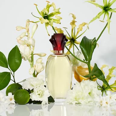 Paul Sebastian Design for Women, Fine Parfum Spray, 1.7-Ounce - Image 4
