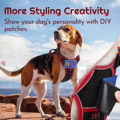 Eagloo Dog Harness for Large Dogs, Easy Wearing with 3 Buckles, Adjustable No Pull Pet Harness with 2 Rings for Walking, No Chock Reflective Soft Padded Vest with Control Handle, Black & Red, L - Image 7