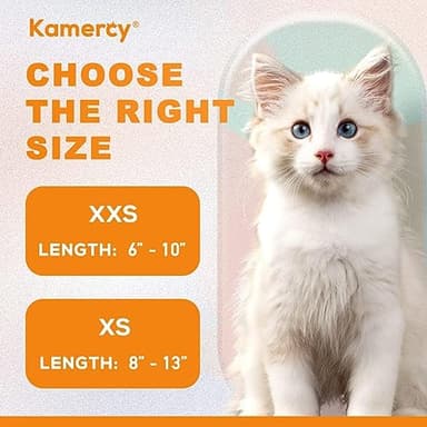 Paddleboard Cat Collar, Safety Breakaway Kitten Collar, XXS (6" - 10") - Image 5