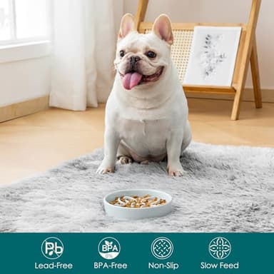 vancasso Ceramic Slow Feeder Dog Bowls, Puzzle Dog Food Bowls with Floral Maze, Anti -Slip Pet Food Dish for Small Breed, 0.6 Cups, Grayish Cyan - Image 3