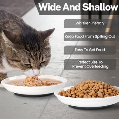 Kitwinney Cat Food Bowls, Whisker Friendly Ceramic Cat Bowls with Nonslip Silicone Bottom, Pack of 3 Quiet Cat Dishes and Plates for Feeding Indoor Cats, Kittens and Small Dogs(Fishbone) - Image 4