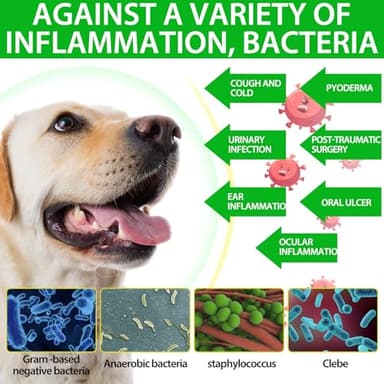 Dog Antibiotics, Natural Antibiotics for Dogs, Dog Multivitamin Herbal Supplements 60ml - Image 7