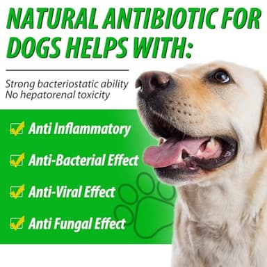 Dog Antibiotics, Natural Antibiotics for Dogs, Dog Multivitamin Herbal Supplements 60ml - Image 2