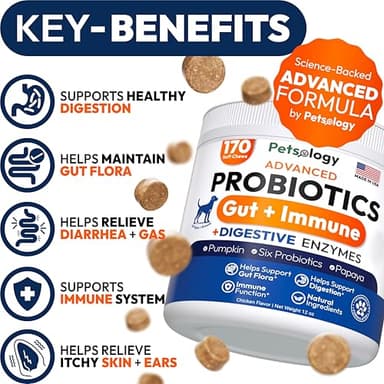 Probiotics for Dogs - 170 Dog Probiotics Chews - Digestive Enzymes & Prebiotics - Support Gut Health, Diarrhea, Gas & Constipation Relief - Itchy Skin, Allergies, Yeast Balance - Advanced Supplement - Image 2