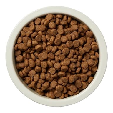Amazon Brand - Wag Dry Dog Food Grain-Free Beef & Lentil Recipe, High Protein (24 lb bag) - Image 5