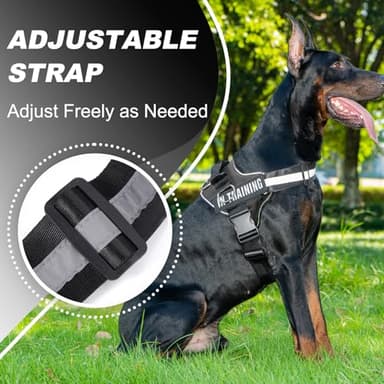 JUSTYEZI Essential Dog Harness with 3 Leash Clips - No-Pull, Adjustable, Comfortable Pet Vest Harness for Small to Large Dogs - Easy On, No Choke, Reflective, Padded Harness for Walking and Training - Image 5