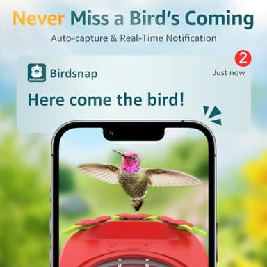 birdsnap® Hummingbird Feeder with Camera Solar Powered, 2K Live Stream AI Bird Identification with 32GB Card Ant Moat Weatherproof WiFi Smart Bird Feeder Camera for Outdoor Birds Watching Gifts - Image 6