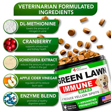 Grass Burn Spot Chews - Dog Urine Neutralizer for Lawn - 120 Grass Green Treats, Rocks - Pee Grass Spot Saver Caused by Dog Urine - Probiotics - Digestive Enzymes - Made in USA - Image 4