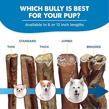 Best Bully Sticks 12 Inch Bully Sticks for Dogs - 10 Count (Pack of 1) - Natural, Easily Digestible, 100% Grass-Fed Beef, Grain and Rawhide Free - Image 5