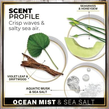 Urban Naturals Car Air Freshener Diffuser 1 Pack - Ocean Mist & Sea Salt Scent, 45+ Days Long Lasting Fragrance, Made in USA, Glass & Wood, Hanging Design + Vent Cip, Easy to Use - Image 4