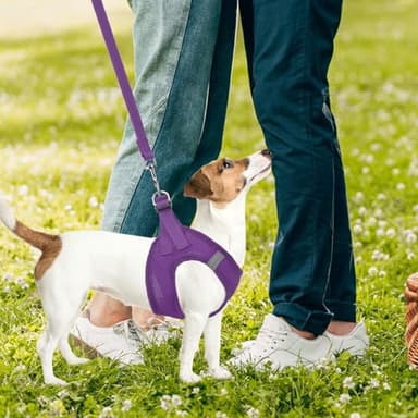 PUPTECK Adjustable Dog Harness Collar and Leash Set Step in No Pull Pet Harness for Small Medium Dogs Puppy and Cats Outdoor Walking Running, Soft Mesh Padded Reflective Vest Harnesses - Image 7