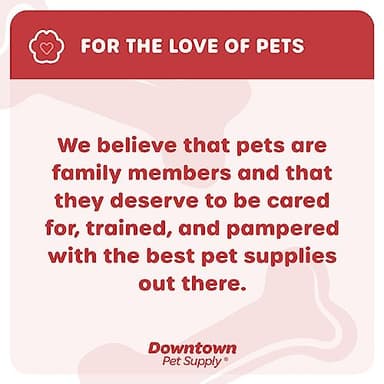 Downtown Pet Supply Step-in Dog Harness – No Pull, Adjustable Padded Mesh with Reflective Trim, Secure Buckle Strap – Comfortable & Breathable Small Dog Harness, Small, Charcoal - Image 8