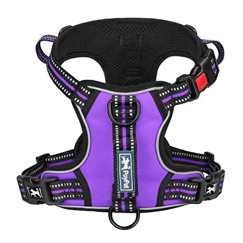 PoyPet No Pull Dog Harness, No Choke Front Clip Reflective Dog Vest with Soft Padded Vertical Handle, 3 Leash Attachments for Small Medium Large Dogs (Purple,XL) - Image 1