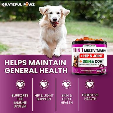 Dog Multivitamin Chewable with Glucosamine - Dog Vitamins and Supplements, Senior & Puppy Multivitamin for Dogs - Pet Chondroitin Hip and Joint Support Health, Immune Booster, Skin, Heart, Probiotics - Image 4