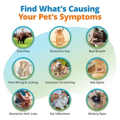 5Strands Pet Food Intolerance & Environmental Sensitivity Test, at Home Gut Health Test for Dogs & Cats, 857 Items Tested, Pet Health Check, Results in 4 Days, for All Ages and Breeds - Image 4