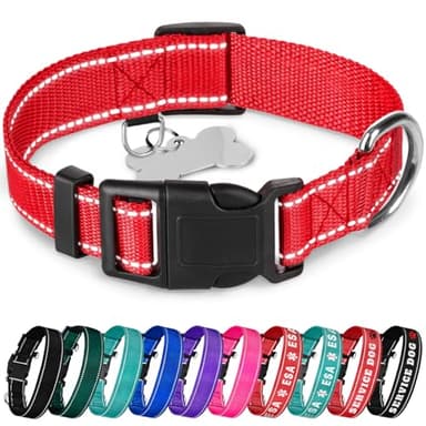TECEUM Reflective Dog Collar – Red – L – Basic Nylon Pet Collar – Quick Release Buckle – Fits Small, Medium and Large Dogs, Puppies, Cats – ESA & Service Dog Options - Image 1