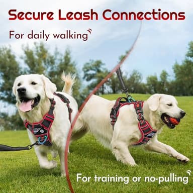 Eagloo Dog Harness for Large Dogs, Easy Wearing with 3 Buckles, Adjustable No Pull Pet Harness with 2 Rings for Walking, No Chock Reflective Soft Padded Vest with Control Handle, Black & Red, L - Image 3