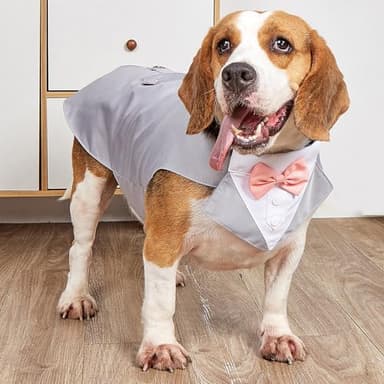 Bnibol Tuxedo Dog Collar for Wedding Engagement and Birthday, Formal Dog Bandana Collar Costume with Bow Tie and Adjustable Buckle,Suitable for Small Medium Large Dog. (Gray, XL) - Image 6