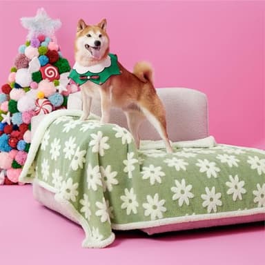 LE SURE Waterproof Dog Blanket for Large Dogs - Washable Double Sided Dog Blankets with Warm Jacquard Shag and Soft Sherpa Fleece, Pet Cat Blanket for Couch Protection, 3D Textured Cloud, Green - Image 2