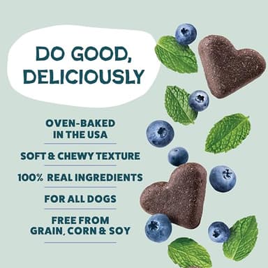 Shameless Pets Soft-Baked Dog Treats, Blueberried Treasure - Natural & Healthy Chews with Mint for Immune Support - Dog Biscuits Baked & Made in USA, Free from Grain, Corn & Soy - 1 Pound (Pack of1) - Image 3