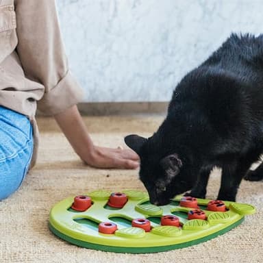 Catstages by Nina Ottosson Buggin Out Puzzle & Play – Interactive Treat Puzzle Feeder for Cats, 16 Hidden Treat Compartments Slow Feeder, Durable & Easy-Clean, 13 Inches, Green - Image 8