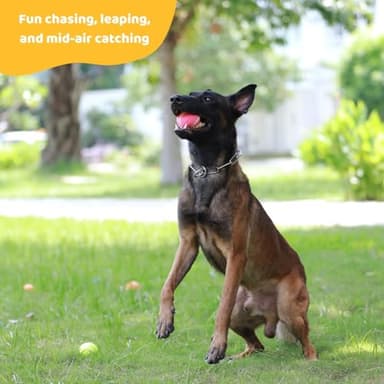 Pup's Pick Squeaky Tennis Balls - 2.5" Fun Dog Balls for Fetch, 12-Pack in Bright Colors (Yellow, Blue, Pink, Orange), Includes 1 Reusable Carry Bag - Image 8