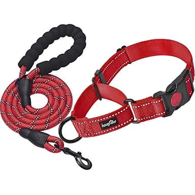 haapaw 2 Packs Martingale Dog Collar with Quick Release Buckle Reflective Dog Training Collars for Small Medium Large Dogs - Image 1