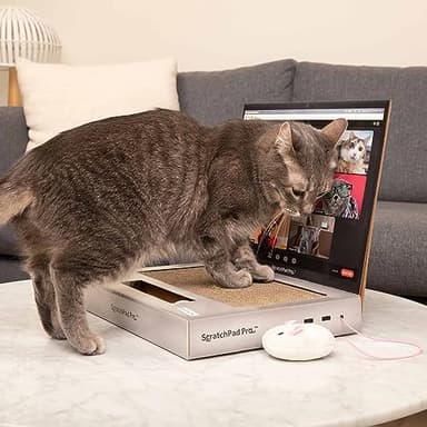 ScratchPad Pro — Cardboard Laptop Cat Scratcher, Interactive Cat Toys for Indoor Cats, Kitten Supplies and Cat Stuff by Relatable - Image 6