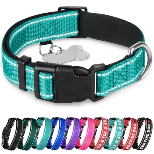 TECEUM Reflective Dog Collar – Teal – M – Extra Soft Padding – Basic Nylon Pet Collar – Quick Release Buckle – Fits Small, Medium and Large Dogs, Puppies, Cats – ESA & Service Dog Options - Image 1