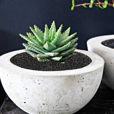 TOYPOPOR 2.2 lb Black Lava Pebble Vase Filler Pebbles Stones Crafting Floral Arranging Home Decor Decorative Colored Crushed Stones Special Black Aquarium Gravel for Freshwater Aquariums - Image 3