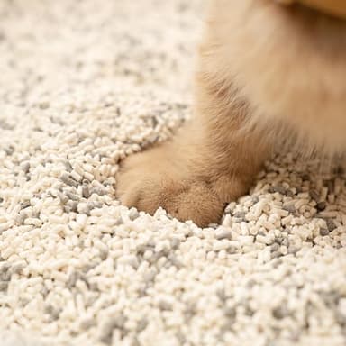 Lady N Granular Tofu Cat Litter Mini-Pellet Compatible with Automatic Self Cleaning Cat Litter Box, Strong Clumping Ultra Absorbent, Low Tracking, Odor Control Activated Charcoal 18lb - Image 9