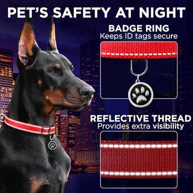 TECEUM Reflective Dog Collar – Red – L – Basic Nylon Pet Collar – Quick Release Buckle – Fits Small, Medium and Large Dogs, Puppies, Cats – ESA & Service Dog Options - Image 4