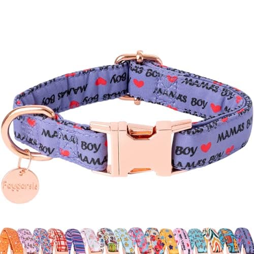 Faygarsle Purple Dog Collar for Small Medium Large Dogs Cute Puppy Collars for Male Dogs Letter Patterned Dog Collars for Summer Spring Wedding Puppy Necklace Boy Dog Collar M - Image 1