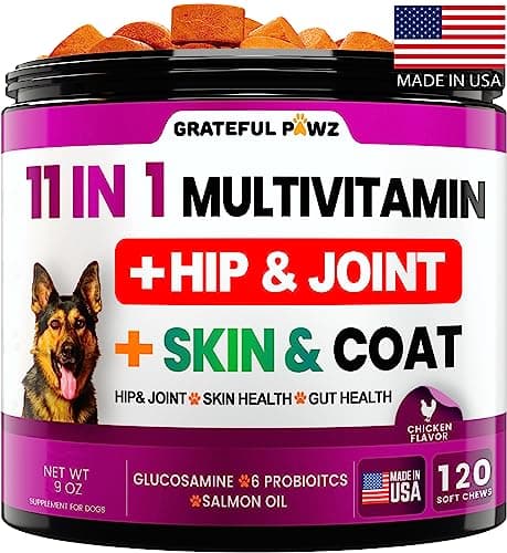 Dog Multivitamin Chewable with Glucosamine - Dog Vitamins and Supplements, Senior & Puppy Multivitamin for Dogs - Pet Chondroitin Hip and Joint Support Health, Immune Booster, Skin, Heart, Probiotics - Image 1