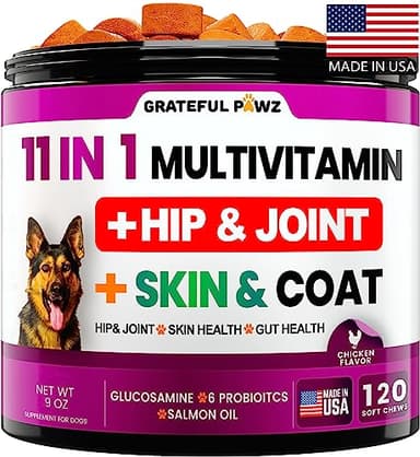 Dog Multivitamin Chewable with Glucosamine - Dog Vitamins and Supplements, Senior & Puppy Multivitamin for Dogs - Pet Chondroitin Hip and Joint Support Health, Immune Booster, Skin, Heart, Probiotics - Image 1