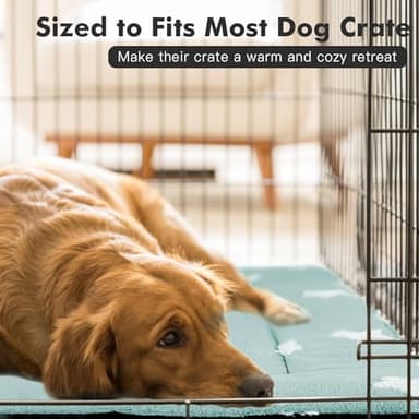 Mora Pets Dog Crate Pad Kennel Bed Crate Mat for Small Dogs Washable Cute Star Pet Bed for Dog Cage Ultra Soft Flat Puppy Cat Kitten Pillow Cushion for Sleeping Anti-Slip Blue 24 x 18 - Image 5