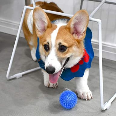 SHARLOVY Squeaky Balls for Pet Small Puppy, TPR Fetch Spike Balls for Dogs, Rubber 6 Pack Bright Colors Chew Teething Dog Toys - Image 7
