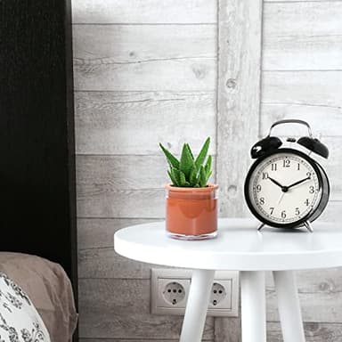 Phoenix Vine 4 Inch Self Watering Plants Pot, Design Terracotta Pot for Plants, Indoor Cylinder Terra Cotta Planter with Glass Vase, Set of 1, 51-A-E-1 - Image 5