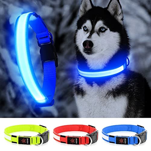 YFbrite Ultra Light Adjustable LED Dog Collar, Light up Dog Collars Rechargeable Glowing in The Dark Collars Visiblity & Safety for Small, Medium, Large Dogs (Blue, Large) - Image 1