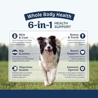 Natural Balance Health Protection Dry Dog Food – Whole Body Health, Easy on Digestion Dog Food Made with Salmon, Brown Rice & Pumpkin for Dogs - 4lbs. - Image 4