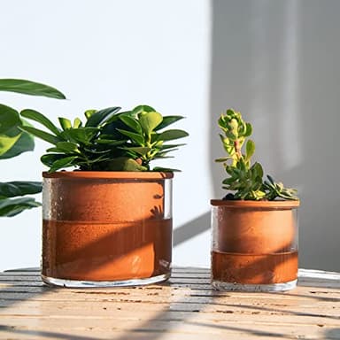 Phoenix Vine 4 Inch Self Watering Plants Pot, Design Terracotta Pot for Plants, Indoor Cylinder Terra Cotta Planter with Glass Vase, Set of 1, 51-A-E-1 - Image 7