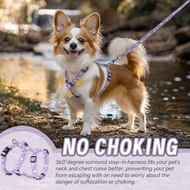 Dog Harness Leash Set, No Pull Adjustable Halter Cute Comfort Padded Handle for Medium Sized Large Small Dogs Walking Training Running with Reflective(XSmall,Purple) - Image 2