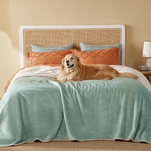 Bedsure Waterproof Blanket for Bed - Sherpa Fleece Waterproof Dog Blankets for Large Dogs, Pet Blankets for Bed/Couch/Dog Crate, Soft Plush Reversible Furniture Protector, Queen, 90"x86", Light Green - Image 1
